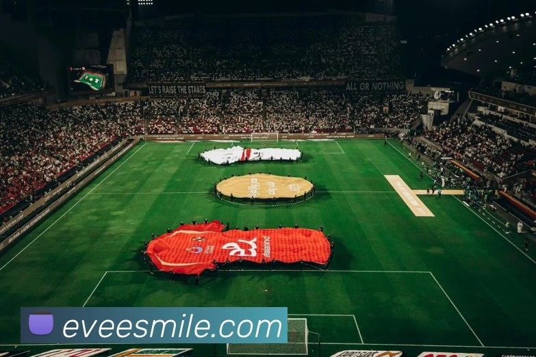 米乐m6服务体系